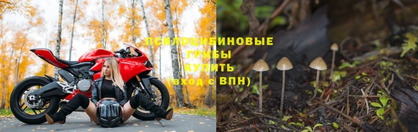 эйфоретик Алексеевка